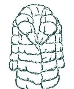 Цены на химчистку меховых изделий в Москве