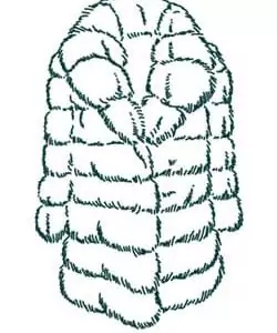 Цена химчистки натуральной шубы без капюшона в Москве