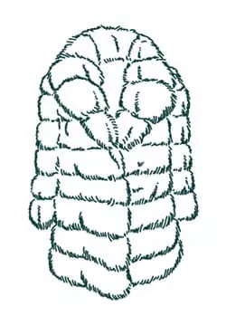 Цена химчистки натуральной шубы без капюшона в Москве